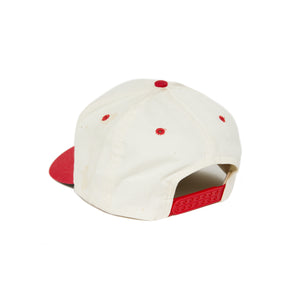 VW Logo Snapback Hat